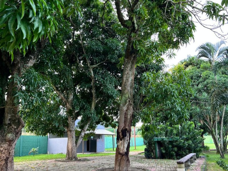 Guia de Tratamento em Queimados- RJ - 4efe9b2bb63048938794a7ad8c528c37.jpg