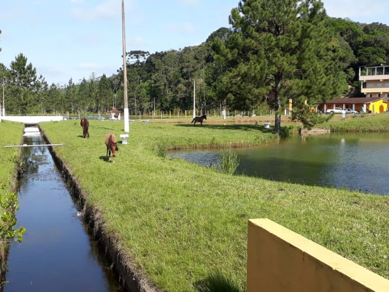 Guia de Tratamento em Campo Limpo Paulista- SP  - c6556c745e306ea987e712c552d12189.jpg