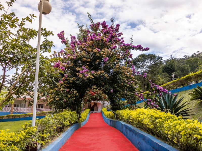 Guia de Tratamento de Alto Padrão em Santa Catarina- SC - e86b0426db70472e2bdc333e45b449a8.jpg