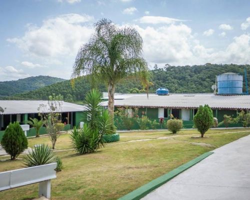 Guia de Tratamento em Ortigueira- PR