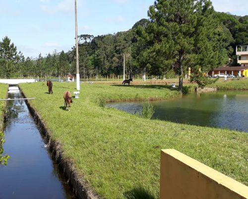 Guia de Tratamento em Campo Limpo Paulista- SP 