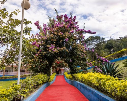Guia de Tratamento de Alto Padrão em Santa Catarina- SC